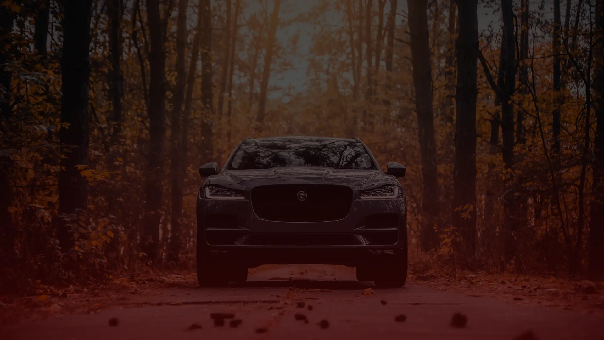 A black Jaguar SUV, expertly serviced by a top Jaguar mechanic in Toronto, is parked on a forest path lined with tall trees and autumn foliage. Fallen leaves blanket the road, shrouded in dusky, atmospheric lighting that hints at early morning or late afternoon. EuroMechanic | McDermott Motors Auto | Top Reviewed Auto Repair Shop in Toronto | Visit mcdermottmotors.com