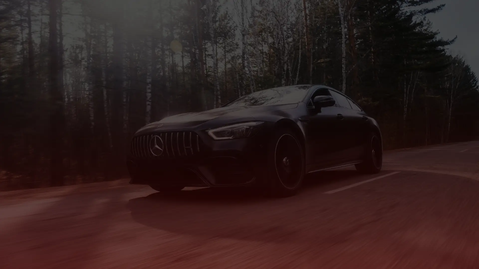 A sleek black sports car, possibly a masterful creation from a Mercedes mechanic in Toronto, drives on a forested road, surrounded by tall trees. The sun filters through the branches, casting soft light on its glossy exterior. The scene conveys speed and elegance amidst nature. EuroMechanic | McDermott Motors Auto | Top Reviewed Auto Repair Shop in Toronto | Visit mcdermottmotors.com